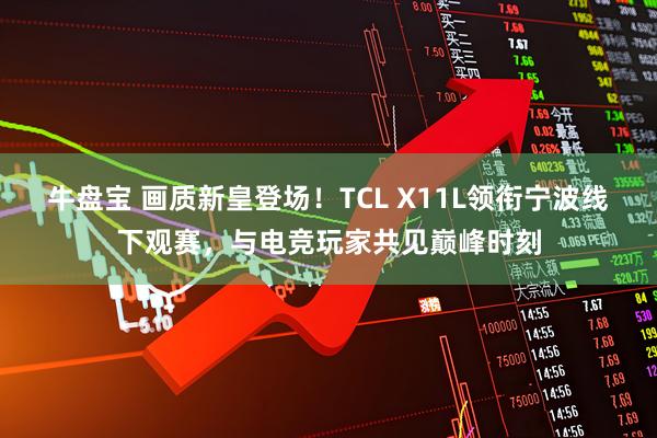 牛盘宝 画质新皇登场！TCL X11L领衔宁波线下观赛，与电竞玩家共见巅峰时刻