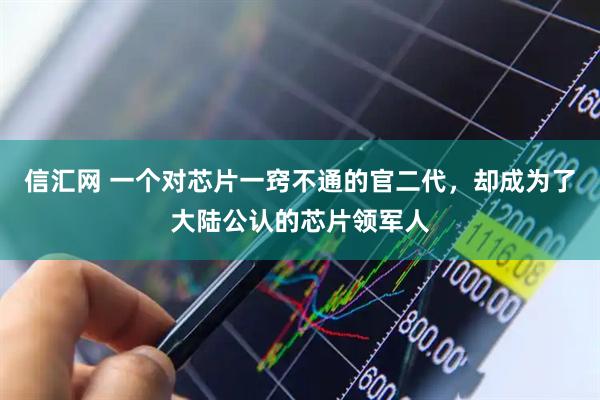 信汇网 一个对芯片一窍不通的官二代,却成为了大陆公认的芯片领军人