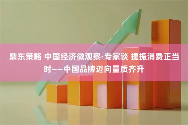 鼎东策略 中国经济微观察·专家谈 提振消费正当时——中国品牌迈向量质齐升